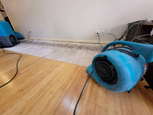 Professional Flood Damage Cleanup technician working in Clarkedale, AR
